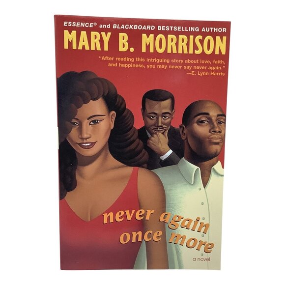 Never Again Once More By Mary B. Morrison 2002 Paperback Novel Book - Picture 1 of 10